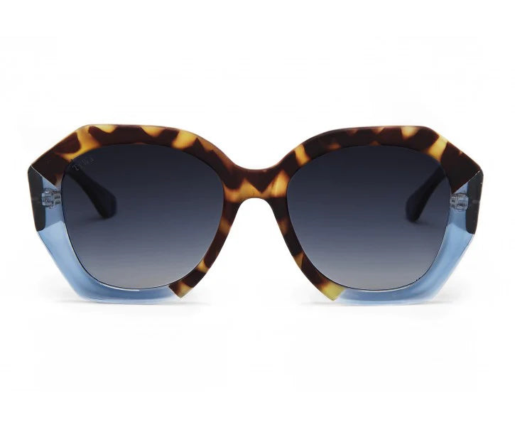 Vega Bicolor Blue Tortoise Sunglasses
